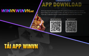 Tải App Winvn